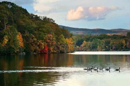 Autumn colorful foliage with lake reflection.の写真素材