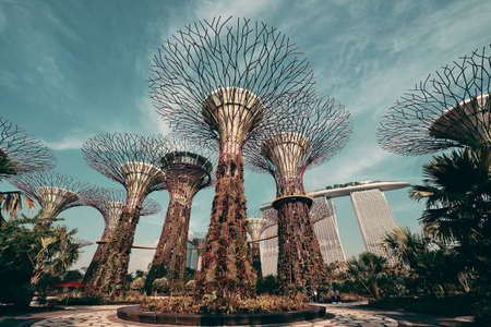 SINGAPORE - APR 5: Garden by the Bay super tree on April 5, 2013 in Singapore. It is part of a government strategy aimed to raise the quality of life by enhancing greenery and flora in Singapore.のeditorial素材