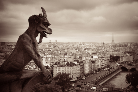 Paris rooftop view from Notre-Dame Cathedral.の写真素材