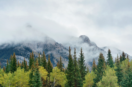 Banff national park foggy mountains and forest in Canada.の写真素材