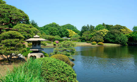 Park garden in Tokyo Japan.の写真素材