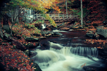 Autumn waterfalls in park with colorful foliage.