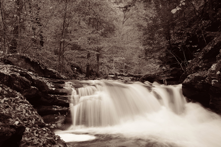 Waterfalls in woods in black and white.