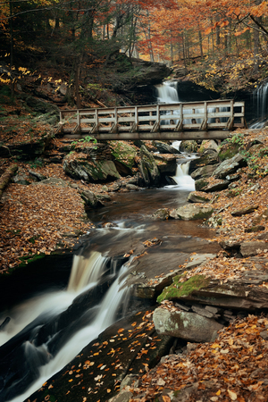 Autumn waterfalls in park with colorful foliage.の写真素材
