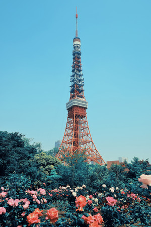 Tokyo Tower as the city landmark with flowers. Japan.のeditorial素材