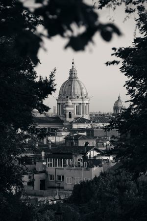 Historical architecture dome through woods in Rome, Italy.