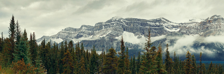 Bow Lake panorama with snow capped mountain and forest in Banff National Parkの写真素材