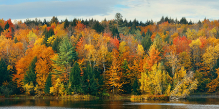 Lake with Autumn foliage and mountains in New England Stoweの写真素材