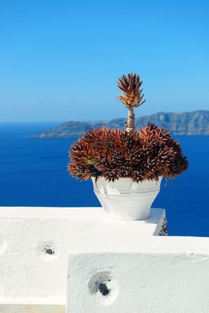 Leisure life settings with plants in Santorini, Greece.のeditorial素材