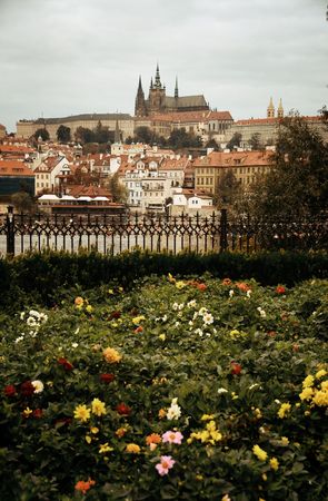 Prague city view with flower bed in Czech Republicの写真素材