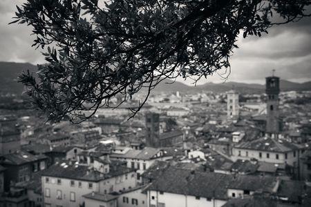 Guinigi Tower and Lucca rooftop view with historic buildings in Italy.の写真素材