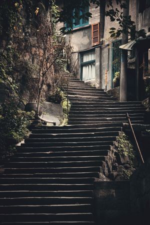 Stairs and tree in Xiahao Old street in Chongqing, China.