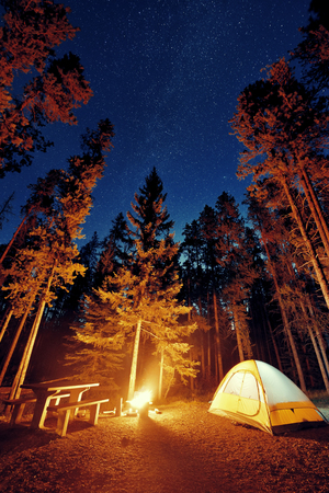 Camping in forest with stars and bonfire in Banff National Park in Canadaの写真素材