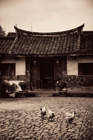 FUJIAN, CHINA â MARCH 2, 2018: Rural courtyard with chicken. Tulou is the unique traditional rural dwelling of Hakka.のeditorial素材
