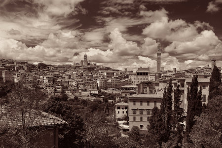 Medieval town Siena skyline view with historic buildings and Town Hall Bell Tower in Italyの写真素材