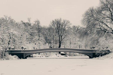 Bow Bridge in Central Park winter in midtown Manhattan New York Cityの写真素材