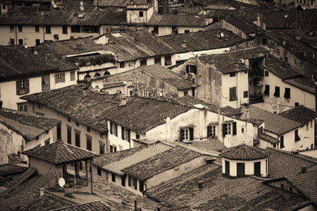 Lucca roof viewed from above in Italy.の写真素材