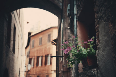 Street view with old buildings and archway in Siena, Italy.の写真素材