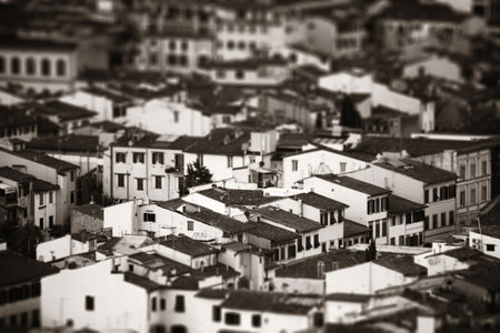 Roofs of old buildings in Florence in Italy tilt-shift effect black whiteの写真素材