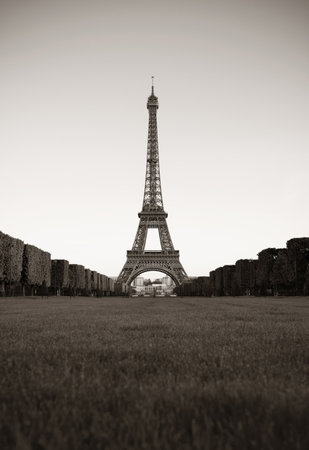 Eiffel Tower with lawn as the famous city landmark in Parisの写真素材
