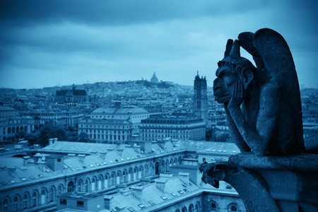 Paris rooftop view from Notre-Dame Cathedral.の写真素材