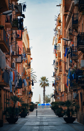 Street view and a tree in a city.の写真素材
