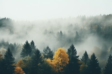 Foggy mountain with Autumn foliage landscape. AI generated.の素材