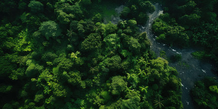 An aerial view of rainforest. Outdoor travel concept.  AI generated.の素材