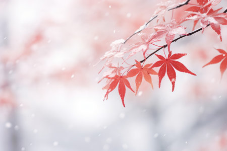 Close-up view of Autumn colorful tree leaves with snow of early Winter. Autumn seasonal concept. AI generated.の素材