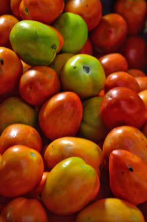 organic fresh tomatoes for sale in the local marketの写真素材