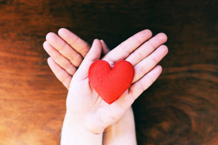 Heart in hand for philanthropy concept - woman holding red heart on hands for valentines day or...