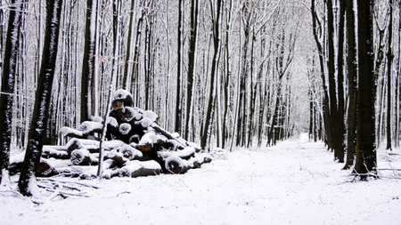 The road through the forest in winter, Beautiful view of a path surrounded by snow-covered treesの写真素材