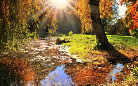 Sunrise over the river amid the autumnal yellow woodland. Fabulous reflection on water.の写真素材
