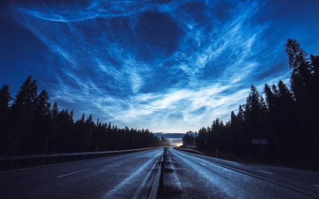 Road. Summer night on a quiet road.の写真素材