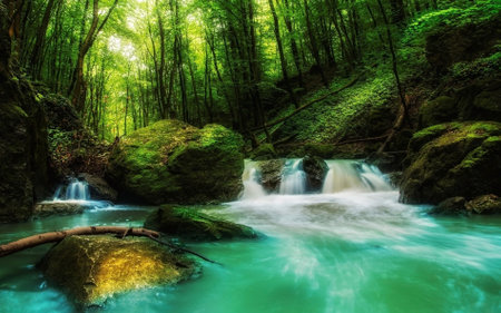 The image is of a small waterfall in a forest