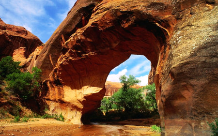 The scene includes the sky and trees surrounding the arch. The formation is a result of erosion and...