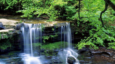 A waterfall in a forest setting, surrounded by trees and lush greenery. The water cascades down a rocky surface, creating a picturesque natural landscape.の写真素材
