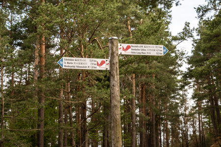 Hiking trail signpost at the picture tree in the Palatinate Forestの写真素材