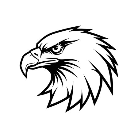 Eagle head vector illustration isolated on white background. Eagle head design template