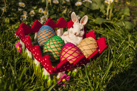 Easter eggs hiding in the grass