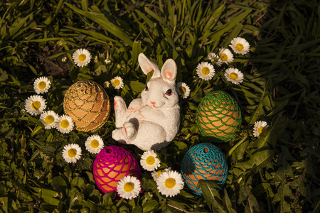 Easter eggs hiding in the grassの写真素材