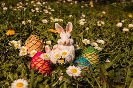 Easter eggs hiding in the grass