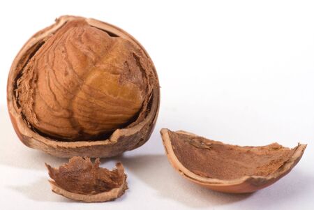 cracked single hazelnut