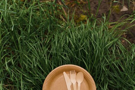 Eco-friendly natural plate with spoon, fork, knife. Set of disposable ecological dishes on green...