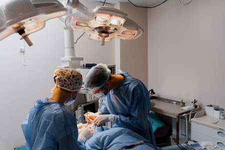 Blepharoplasty plastic surgery operation for modifying the eye region of the face in medical clinic. 2 doctors do plastic cosmetic operation for woman. Surgeon makes an incision with a surgical knifeの写真素材