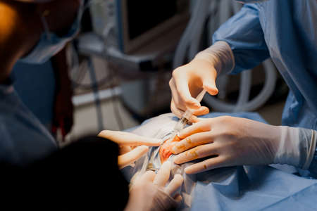 Blepharoplasty plastic surgery operation for modifying the eye region of the face in medical clinic. 2 doctors do plastic cosmetic operation for woman. Surgeon makes an incision with a surgical knifeの写真素材