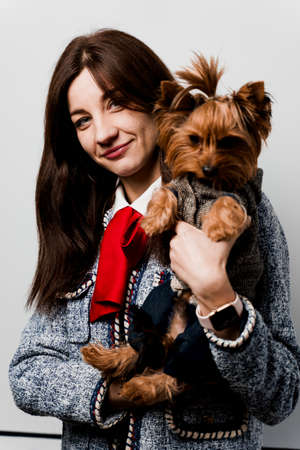 Girl holds brown dog isolated on white background. Young attractive woman with dog yorkshire terrier...