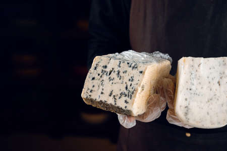 Blue cheese and gouda with italian herbs in hands. Holding dorblu, gorgonzola, roquefort. French...