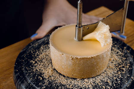Shaving tete de moine cheese using girolle knife. Variety of Swiss semi-hard cheese made from unpasteurized cows milk, the name Monks headの写真素材