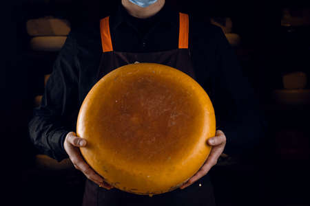 Big yellow cheese wheel in seller hands in the store. Seller in medical mask for protection against...